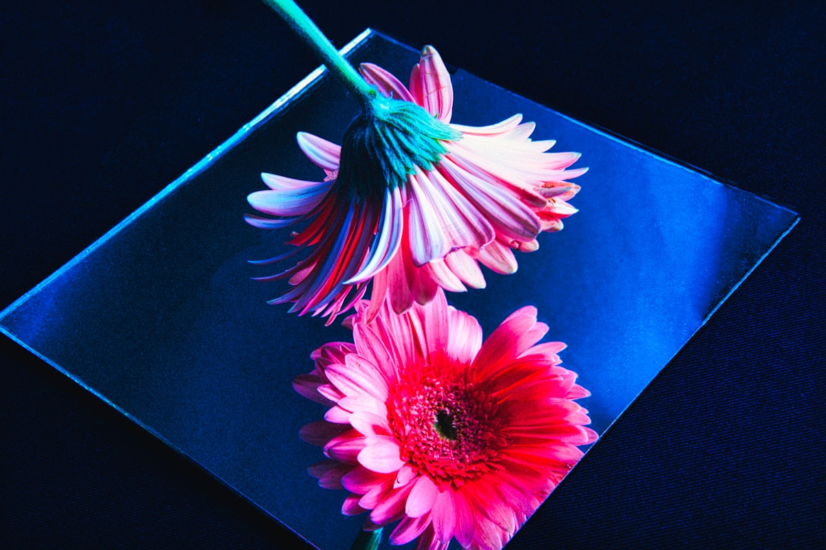 Color Theory in Design